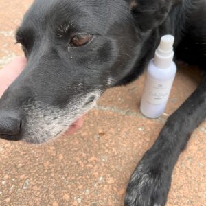 dog anxeity product australia