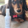 Calm Doggy | Natural Dog Anxiety Spray  ~ 100ml